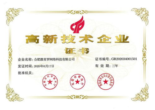 喜報 新青羅入選合肥市2021年度高成長企業(yè)，技術(shù)服務(wù)領(lǐng)域再創(chuàng)佳績